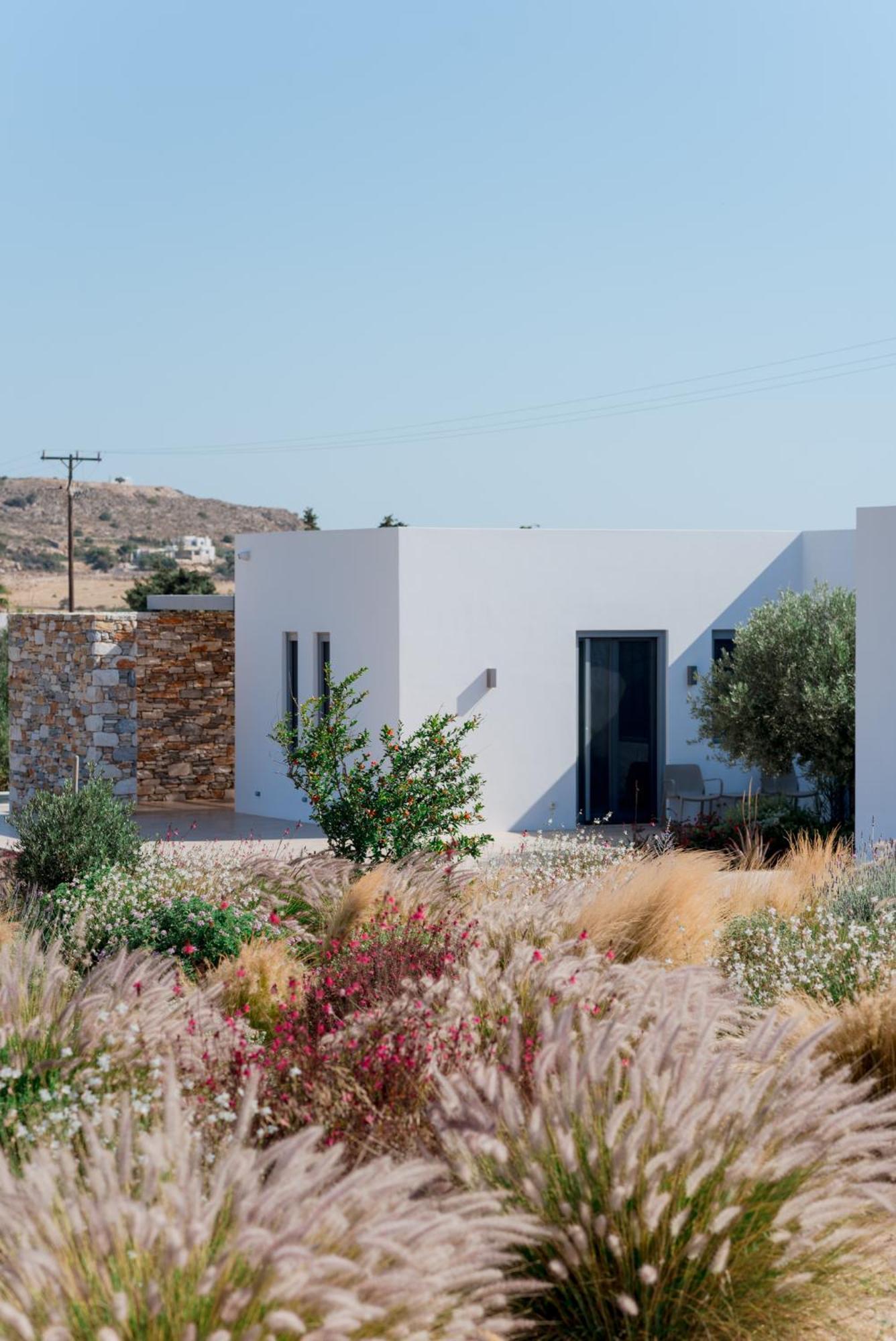 Bracket House Paros Villa Dhragoulas Eksteriør billede